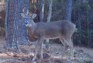 Hunting JoeBurns Inc