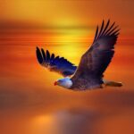 Forklift Delivery Houston | Humble | Spring