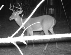 Hunting Joe Burns Inc