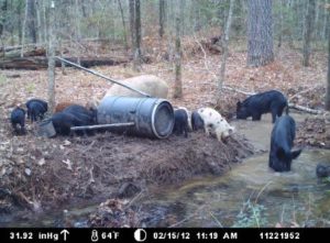 Hunting Joe Burns Inc