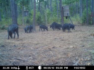 Hunting Joe Burns Inc