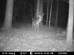 Hunting Joe Burns Inc