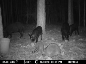 Pig Joe Burns Inc